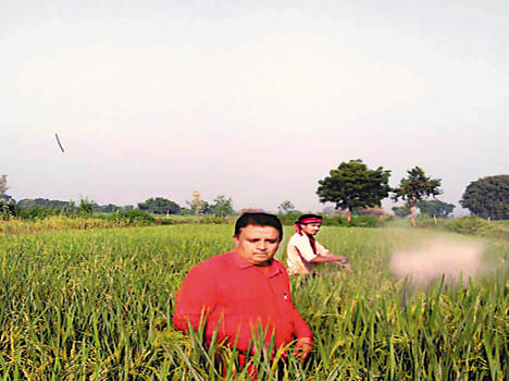 Progressive farmer and worm-biting insect.