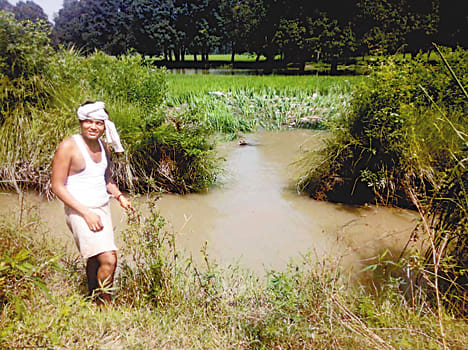 Cut off the shoulder, remove 40 bigha crop from clay in Rajbah