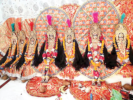 Pooja form 'Kalaatarati' on Saptami