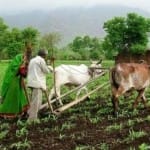 प्रतीकात्मक चित्र