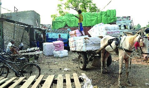 How to settle Transport Nagar:  Plots shared to people of Mumbai and Delhi