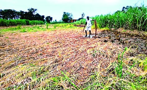 Chingari of the Kisan Movement erupting in villages