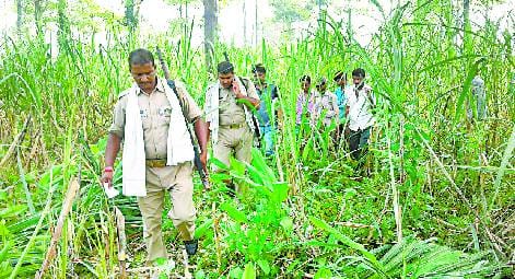 गन्ने की फसल काटने का विरोध करने पर फायरिंग