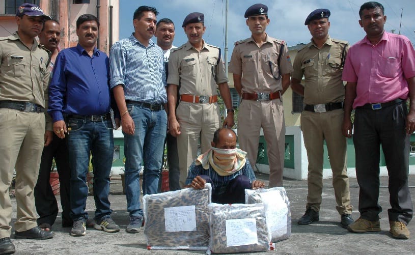 Wildlife smuggler arrested with three leopard skins