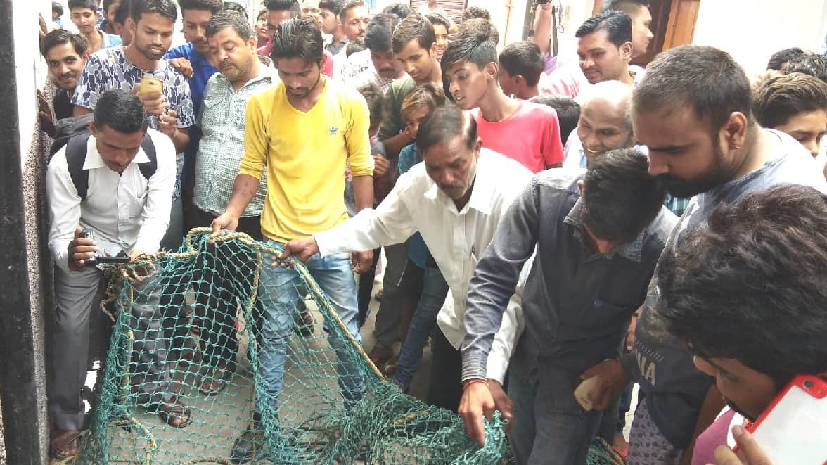 Big crocodile attack on man in sultanpur pond
