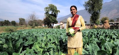 himachal assembly election no government focus on agriculture sector