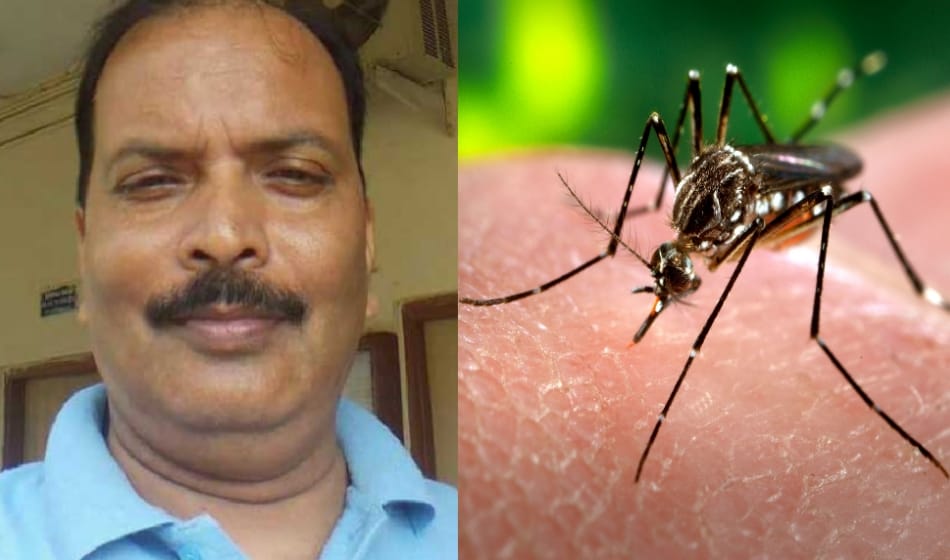 Delhi university professor died of dengue, toll rises to three but mcd is rigid on 1 death