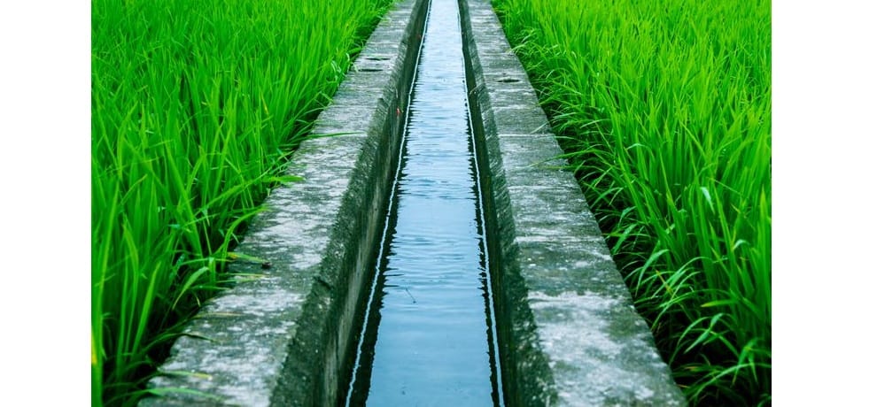 case in irrigation scam