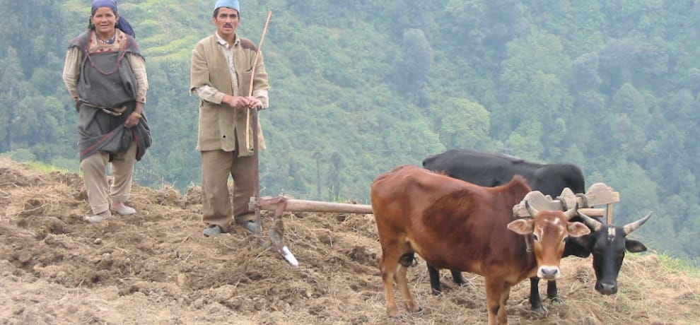 himachal assembly election no government focus on agriculture sector