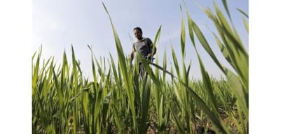 himachal assembly election no government focus on agriculture sector