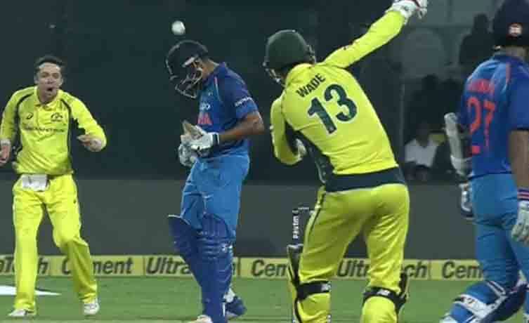 Matthew Wade hit Rohit Sharma on his head