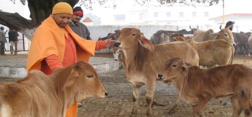 Vishwa Hindu Parishad has reprimanded the Central Government on cow lovers issue