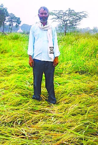 First rain wasted now irrigation crisis