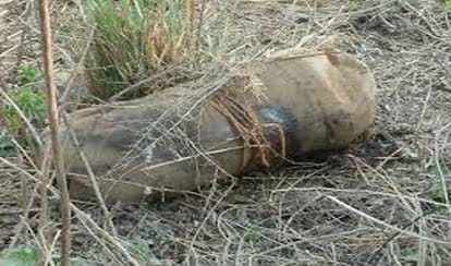 Three people murdered in the same family in Sohna