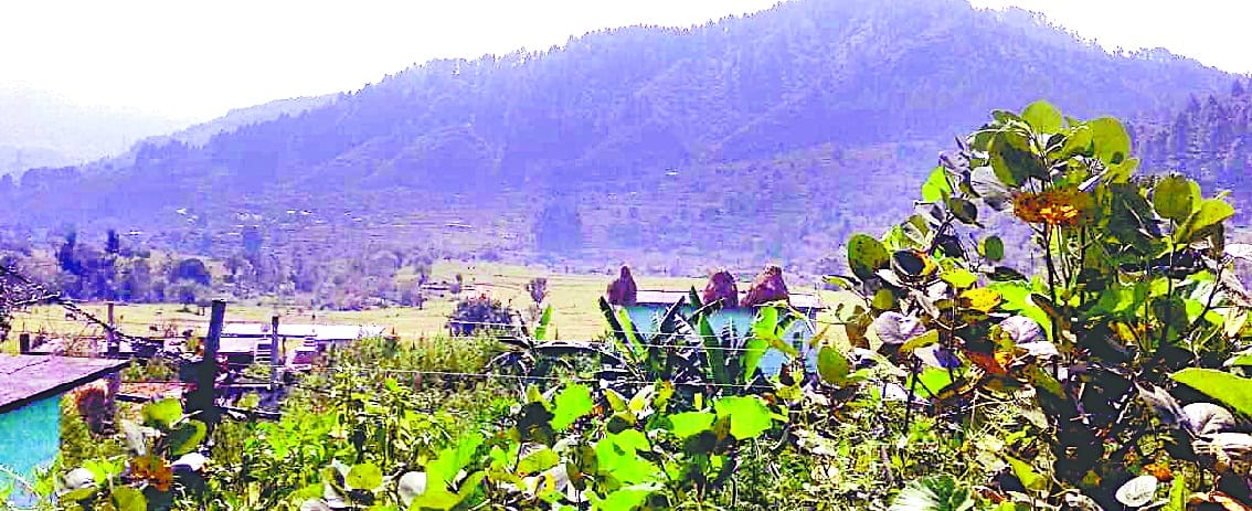 Jungle for 10 years Mother Chandika, Kaushalya plated