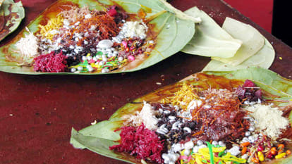 neelkanth bird turtle shami tree and pan particular importance on vijayadasami