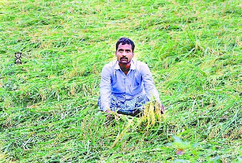What to do surveys, when 3.32 lakh farmers did not insure