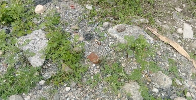 Hand grenade bomb found in dehradun mdda colony park