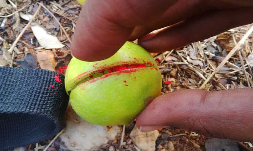 Son told Witch and beaten him
