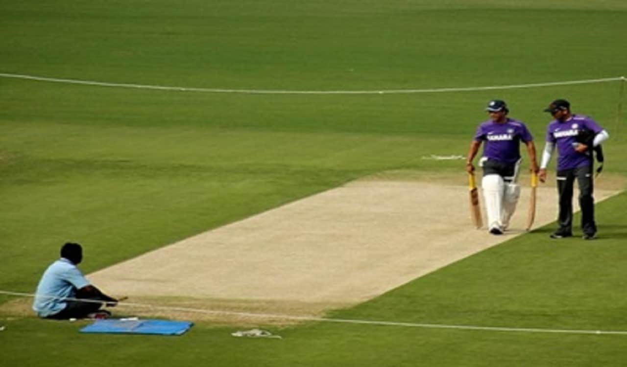 क्रिकेट पिच