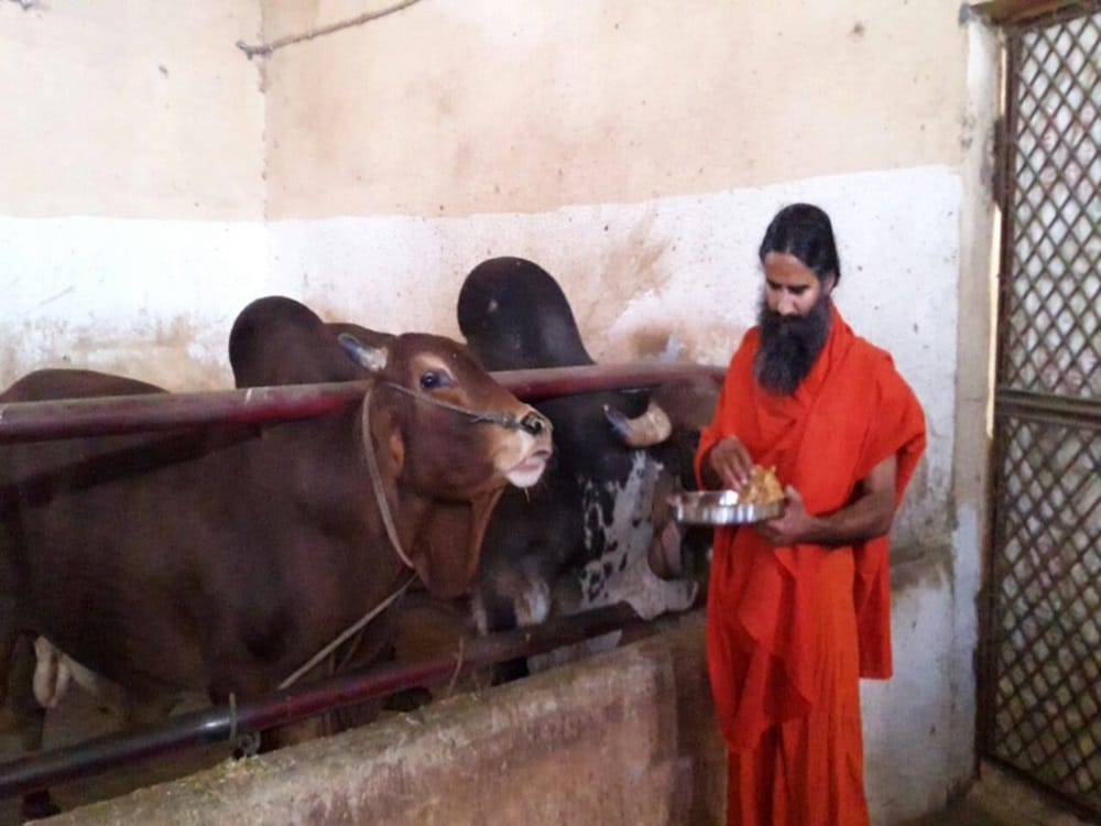 Muslims should use cow urine for treatment said baba ramdev
