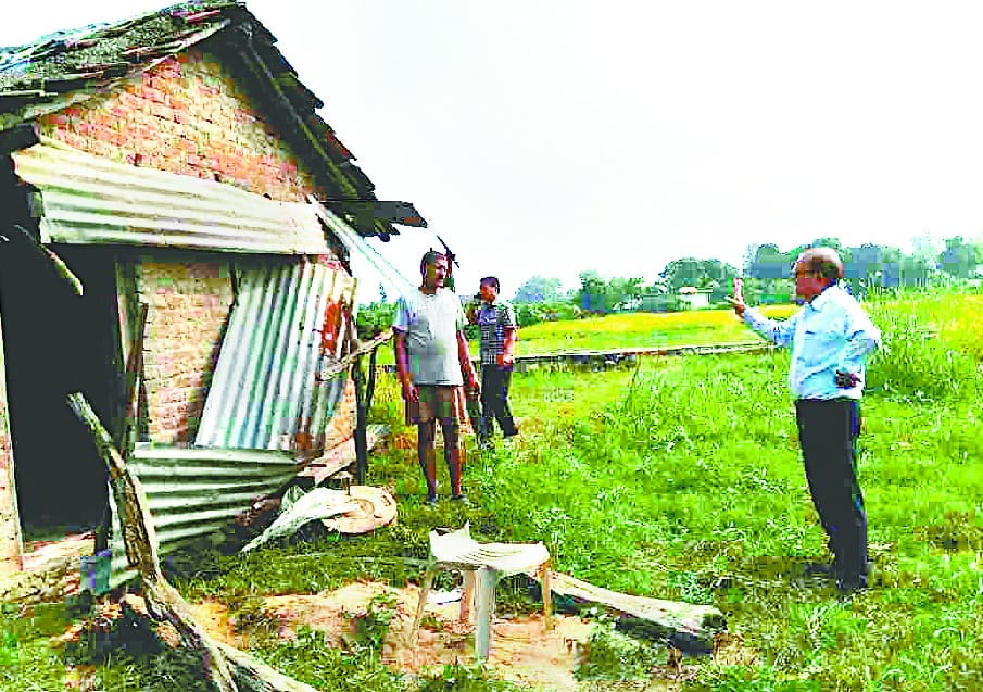 Elephants broke the flour mill in Thawalkheda, crush the crop
