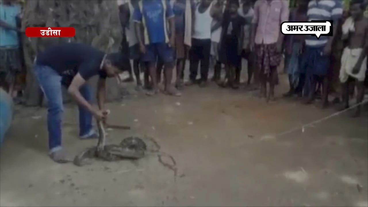 अजगर