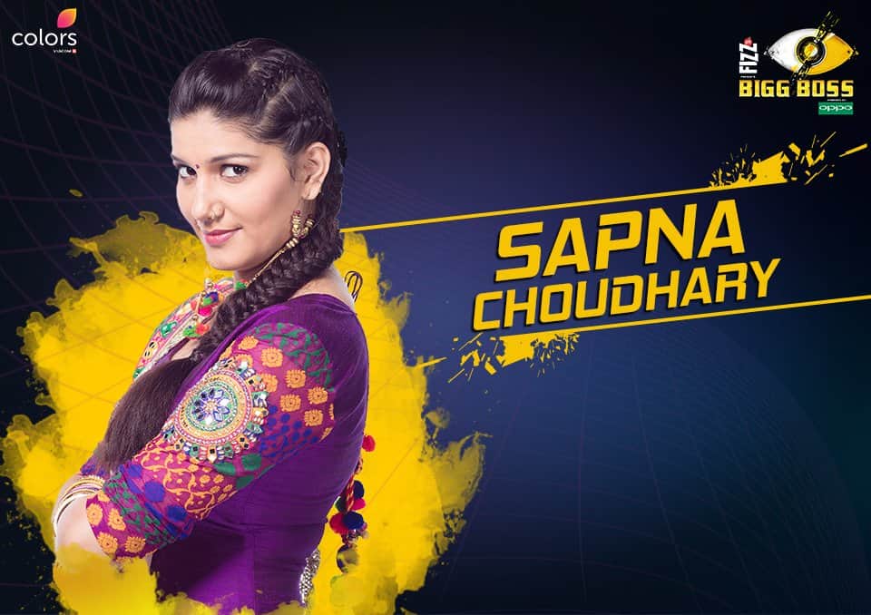 Bigg Boss 11 With Salman all you need to know about the contestants