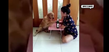 414px x 198px - Viral Video Of Dog And Girl Friendship - Amar Ujala Hindi News Live - à¤²à¤¡à¤¼à¤•à¥€  à¤•à¤°à¤¨à¥‡ à¤œà¤¾ à¤°à¤¹à¥€ à¤¥à¥€ 'à¤—à¤²à¤¤' à¤•à¤¾à¤®, à¤•à¥à¤¤à¥à¤¤à¥‡ à¤¨à¥‡ à¤¹à¤¾à¤¥ à¤ªà¤•à¤¡à¤¼à¤•à¤° à¤°à¥‹à¤•à¤¾