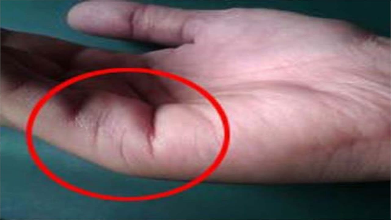 according to palmistry these palm lines tell us your married life
