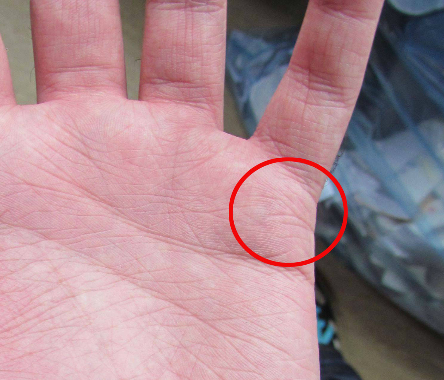 according to palmistry these palm lines tell us your married life