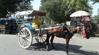 this australia return girl running a taanga on the road