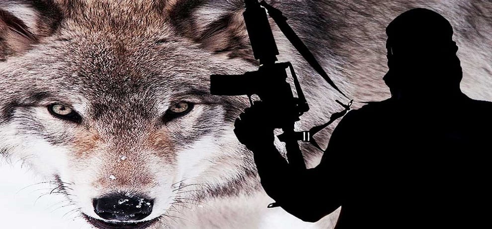 in India, Southeast Asia countries Threat of 'Lone Wolf' Attack 