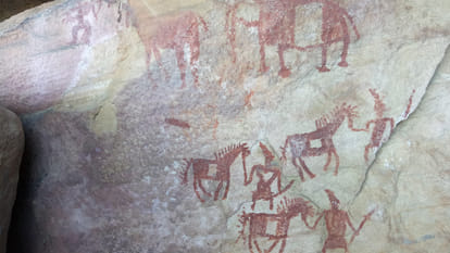 thousands of years old human civilization archeology team is here again
