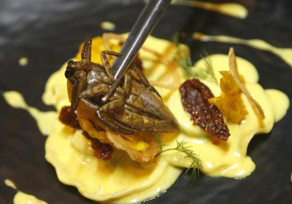 Insects and bugs in the food is by design at Bangkok restaurant