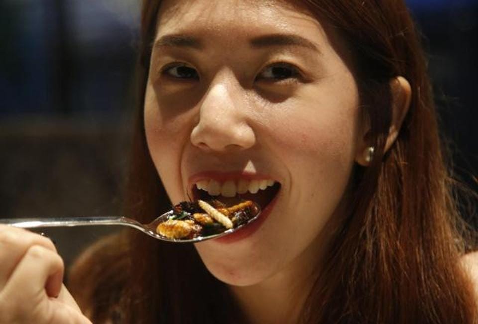 Insects and bugs in the food is by design at Bangkok restaurant
