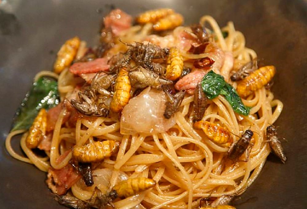 Insects and bugs in the food is by design at Bangkok restaurant