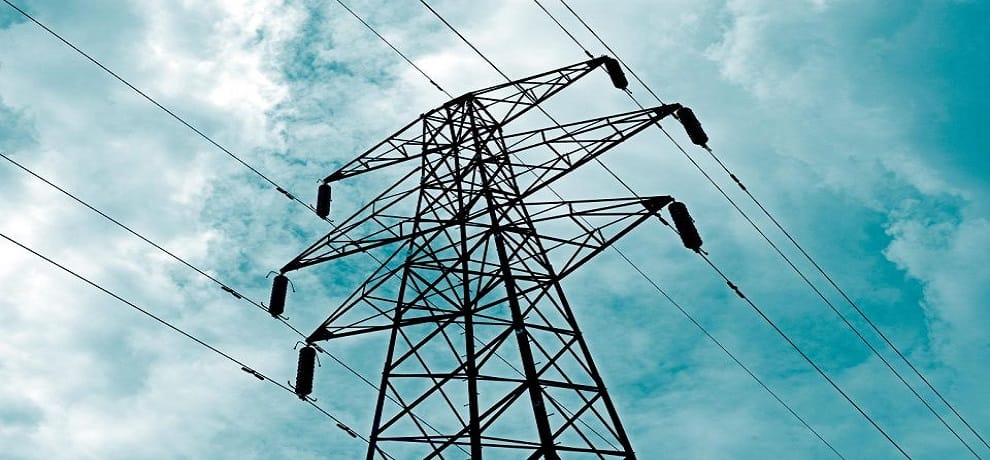 snake death due to wrapped in Transformer Current