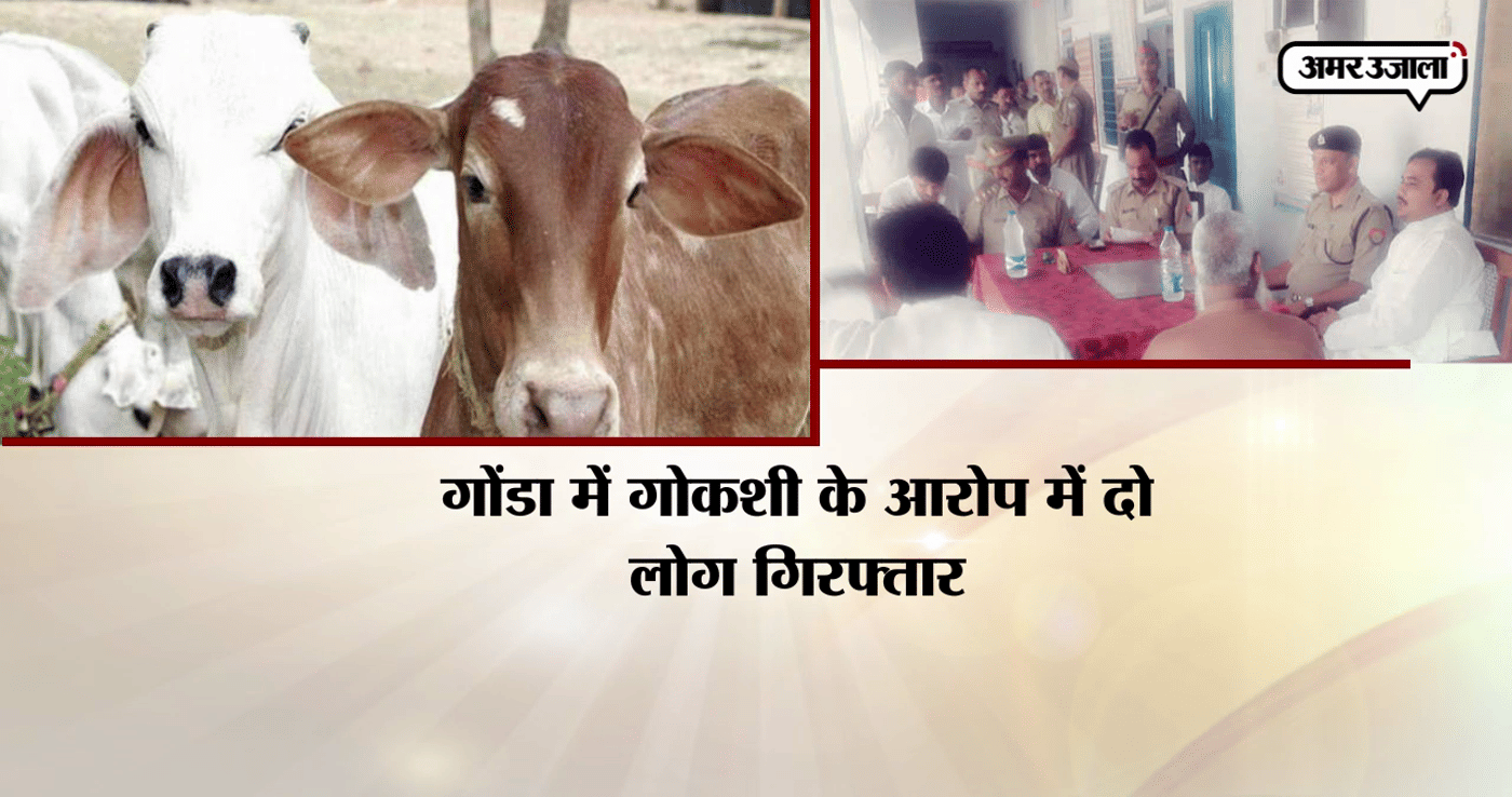 गोंडा 