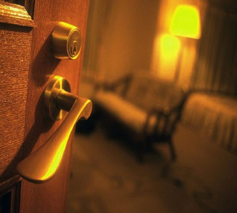 Couple got feared after watching dangerous snake in their hotel room