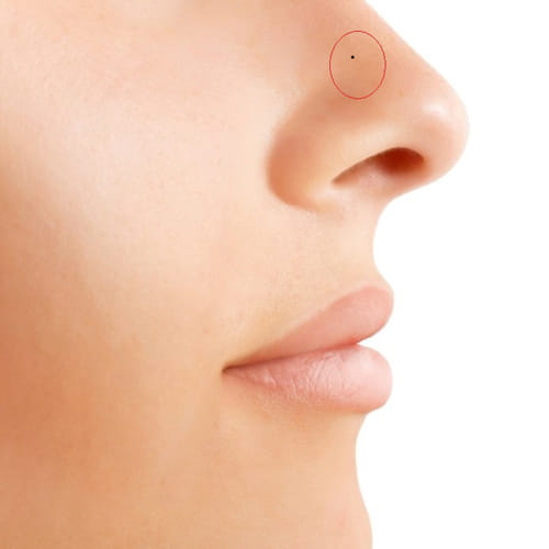this moles can predict that you will always travel or not
