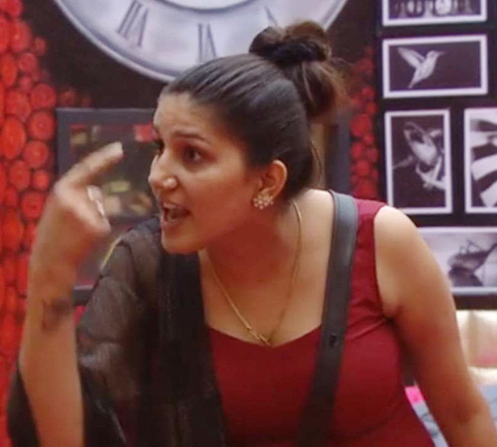 bigg boss contestant sapna chaudhary 6 page sucide note leak