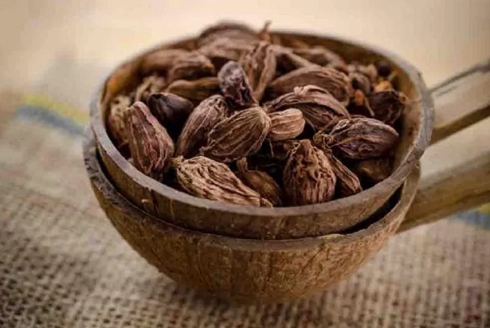 Small cardamom will increase the income of farmers in the hills