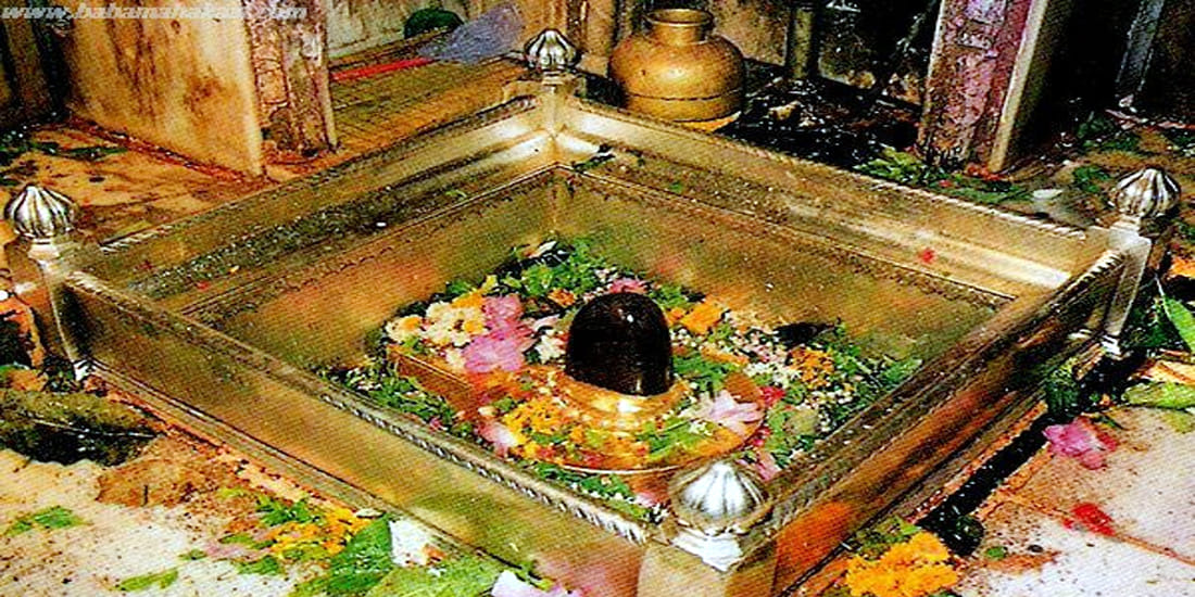  for fifteen rupees Kashi Vishwanath temple e-worship