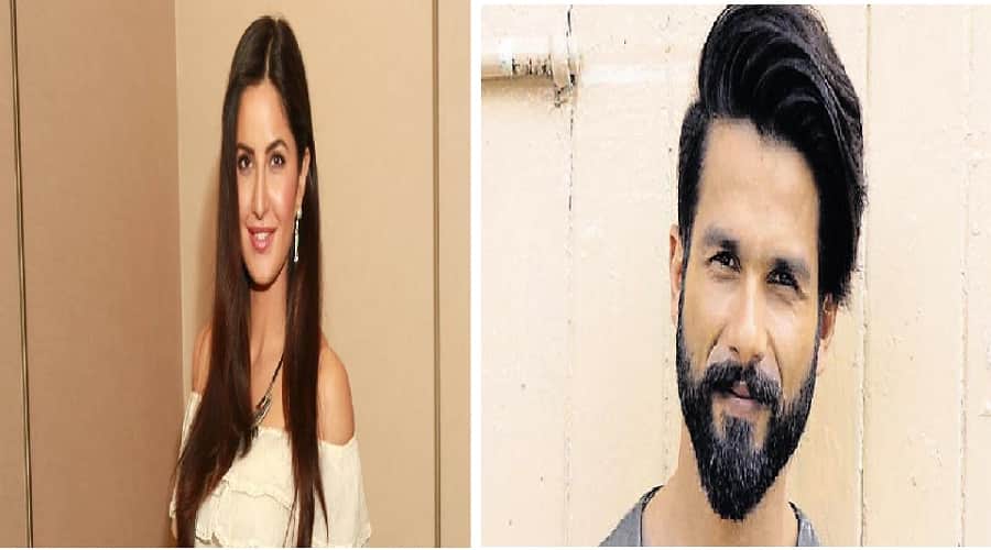 Katrina Kaif May Romance with Shahid Kapoor in Director Shree Narayan Singh upcoming film