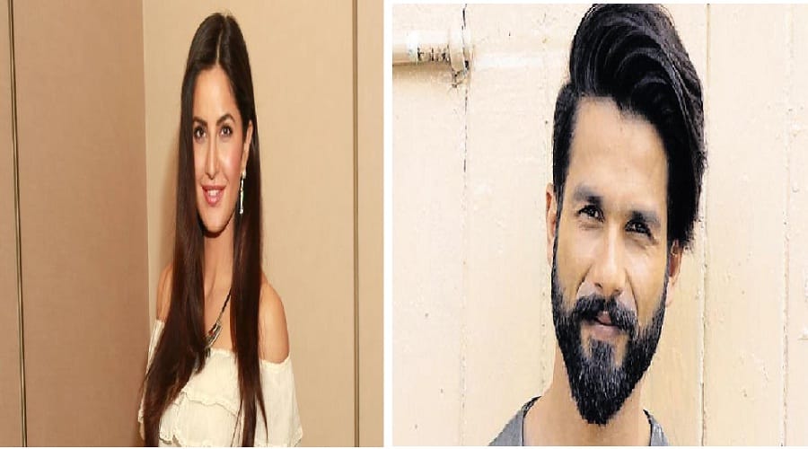 Shahid Kapoor's film Roshni's teaser will be released on Diwali