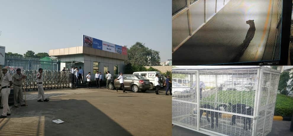 leopard enter in maruti suzuki plant manesar