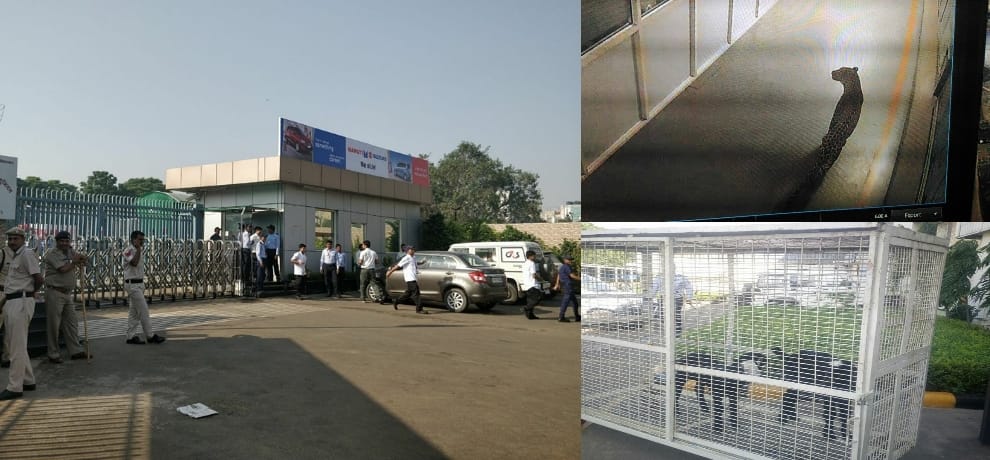 leopard enter in maruti suzuki plant manesar