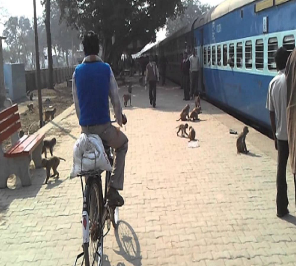 as to save their friend monkey jammed Delhi Howrah railway track 