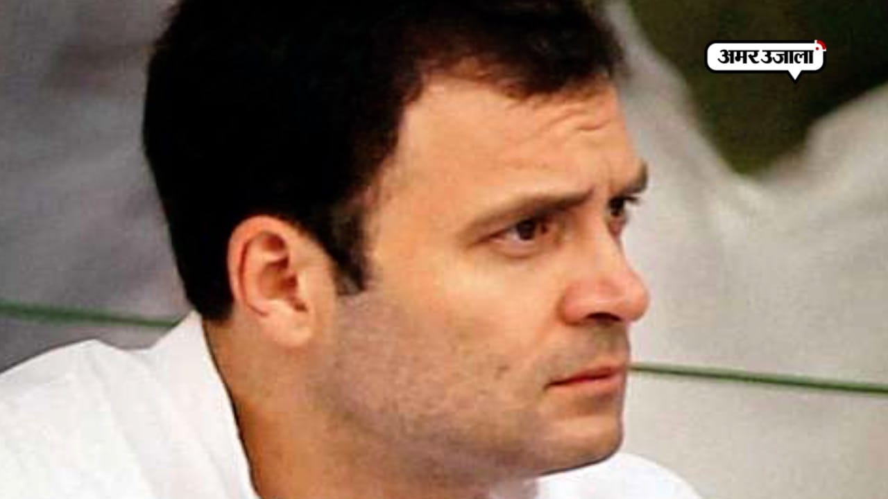 राहुल गाँधी 